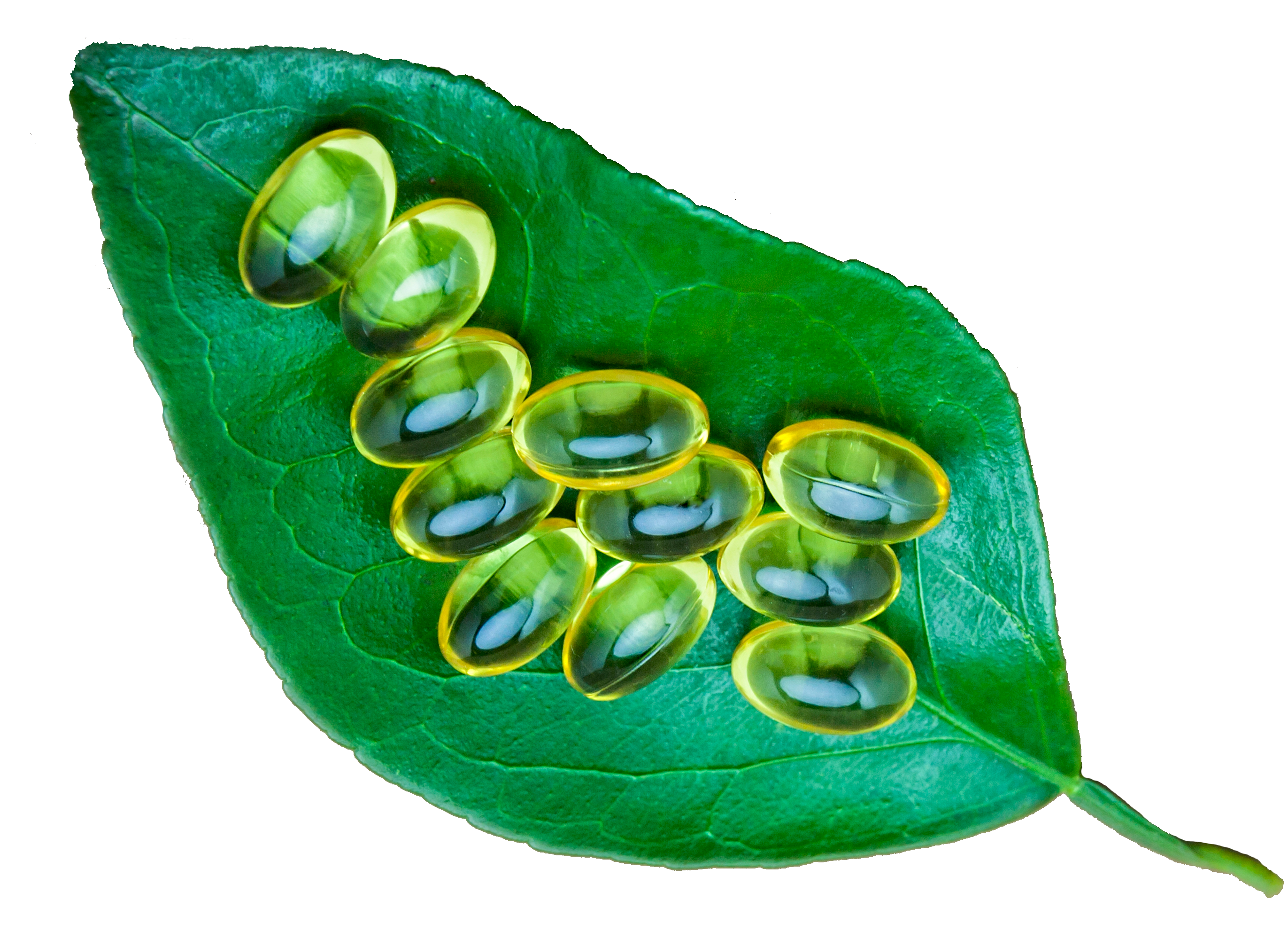 Leaf with Gel Vitamins 2