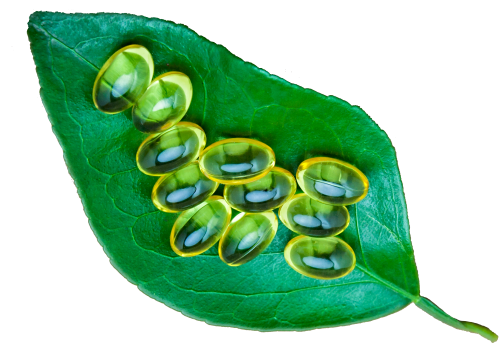 Leaf with Gel Vitamins 2 Leaf with Gel Vitamins 2