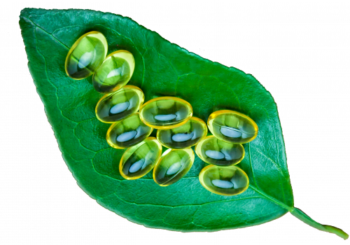 Leaf with Gel Vitamins 2